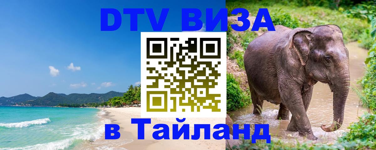 Оформление DTV визы под ключ: стоимость и тарифы, только загранпаспорт - 